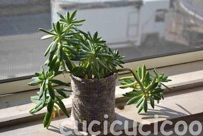 altri vasi recuperati - more upcycled pots altri vasi recuperati - more upcycled pots