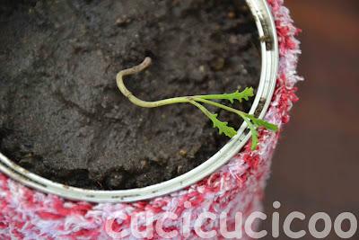 altri vasi recuperati - more upcycled pots altri vasi recuperati - more upcycled pots