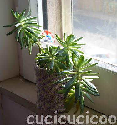 altri vasi recuperati - more upcycled pots altri vasi recuperati - more upcycled pots