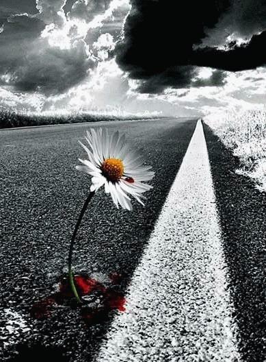 La favola di Amoon La favola di Amoon