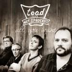 Toad the Wet Sprocket All You Want