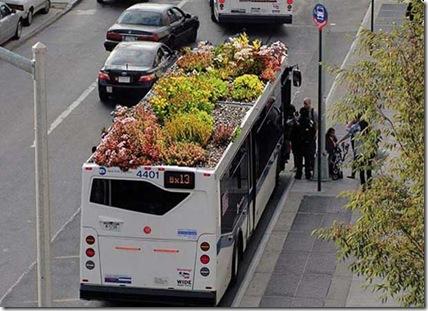 rooftopbus-bus-roots