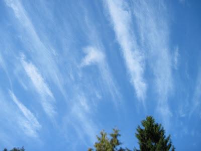 Una breve nota sull’articolo del dottor Blaylock su scie chimiche, alluminio e sistema nervoso Una breve nota sull’articolo del dottor Blaylock su scie chimiche, alluminio e sistema nervoso