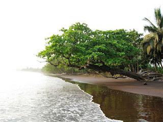 VIAGGIO IN CAMERUN - V edizione