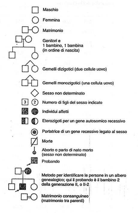 Alberi genealogici: i simboli
