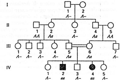 Alberi genealogici: i simboli