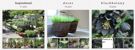 Tante idee per il tuo giardino: seguici su Pinterest!