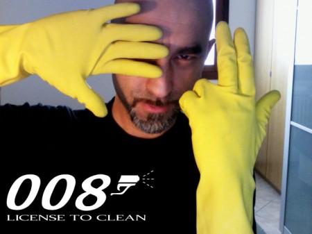 008 License to clean