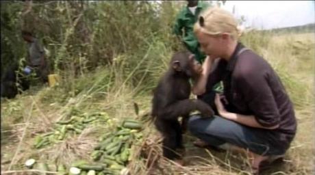 La scimmia più fortunata del mondo: bacia Charlize