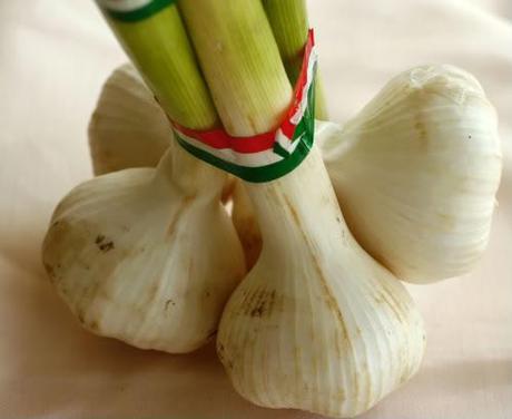 Kräuterbutter Photobucket