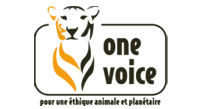 One Voice 2012