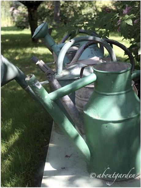 collezione colorata watering zinc… Shabby Chic on Friday