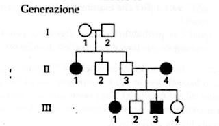 Alberi genealogici: esercizi con soluzioni 2