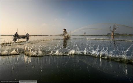 6963665738_60962afa6f_o Sotto la lente #1