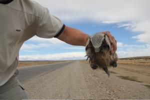 Viaggio sulla Ruta 40 Viaggio sulla Ruta 40