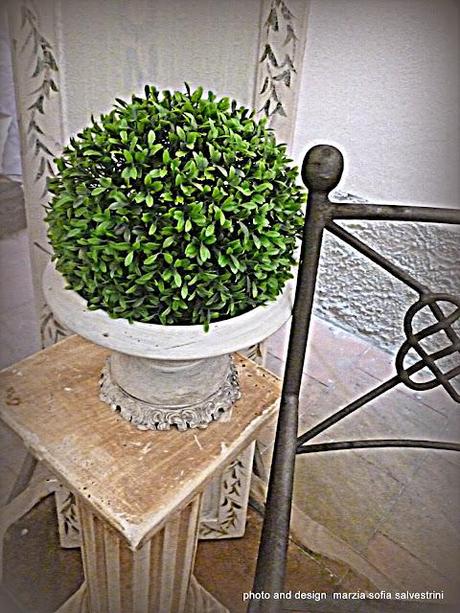 Voglia di primavera e voglia di Roma Voglia di primavera e voglia di Roma