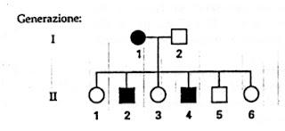 Alberi genealogici: esercizi con soluzioni 4