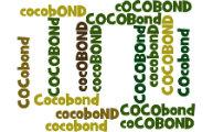Coco bond, caratteristiche e rischi. Il Core Tier 1 ratio