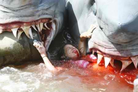 “Swamp Shark”, “Sand Sharks” e “2-headed shark attack”