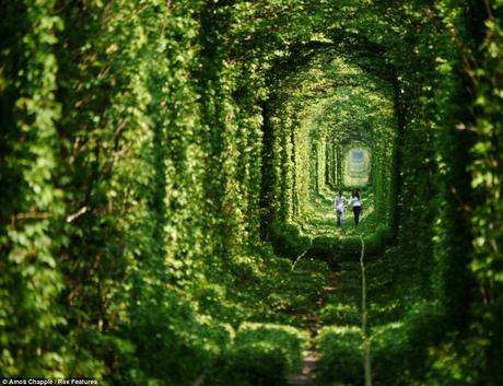 Anton Kozachuk, 18, and Nastya Guz, 16, walk through the Tunnel of Love in Klevan, Ukraine