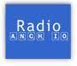 Radio Anch’io: Cresci Europa. (P.D. Garrone - Il Comunicatore Italiano)