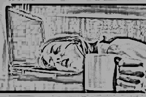 SE IL BUONGIORNO SI VEDE DAL MATTINO... SE IL BUONGIORNO SI VEDE DAL MATTINO...