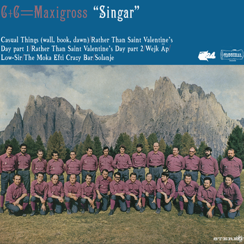 C + C Maxingross-Singar