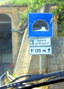 Galleria ARTIFICIALE galleria