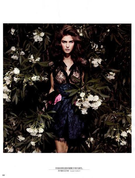 Lace: conteporary sophistication Lace: conteporary sophistication