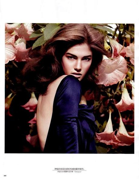 Lace: conteporary sophistication Lace: conteporary sophistication