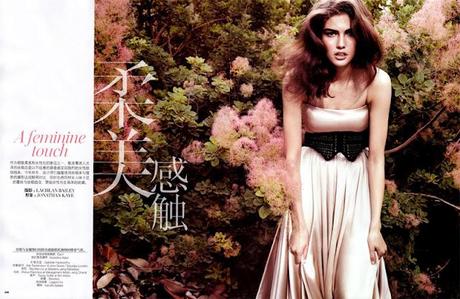 Lace: conteporary sophistication Lace: conteporary sophistication