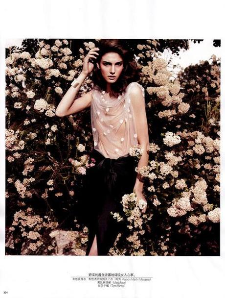 Lace: conteporary sophistication Lace: conteporary sophistication