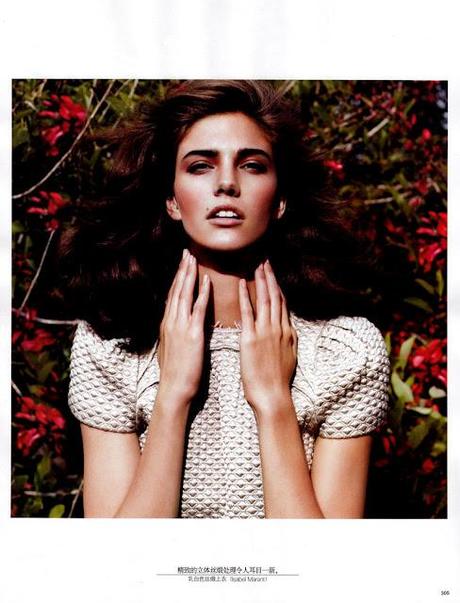 Lace: conteporary sophistication Lace: conteporary sophistication