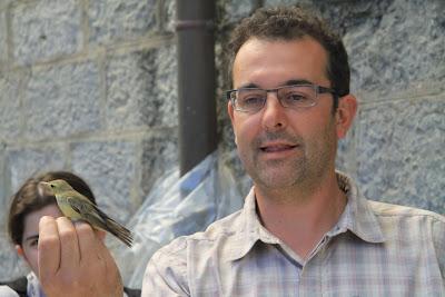 i passeri in rotta sulla Palmaria i passeri in rotta sulla Palmaria