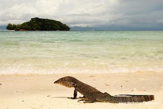 Il Borneo malese di Gianfranco Mattu Il Borneo malese di Gianfranco Mattu