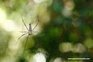 Il Borneo malese di Gianfranco Mattu Il Borneo malese di Gianfranco Mattu