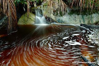 Il Borneo malese di Gianfranco Mattu Il Borneo malese di Gianfranco Mattu
