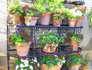 Come scegliere il vaso per il tuo orto in balcone