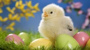 Le uova di Pasqua