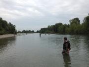 Quantità incredibile di pescatori sul Taro Cheppie a manetta sul Taro
