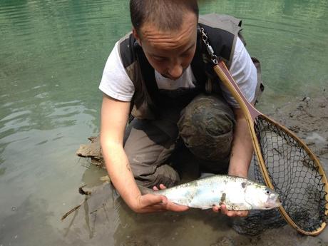 Io con una bellissima cheppia Cheppie a manetta sul Taro