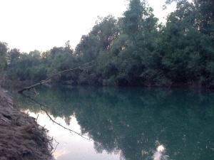 Lama del Taro Cheppie a manetta sul Taro