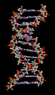 Cronistoria del DNA: 1868 Friedrich Miescher