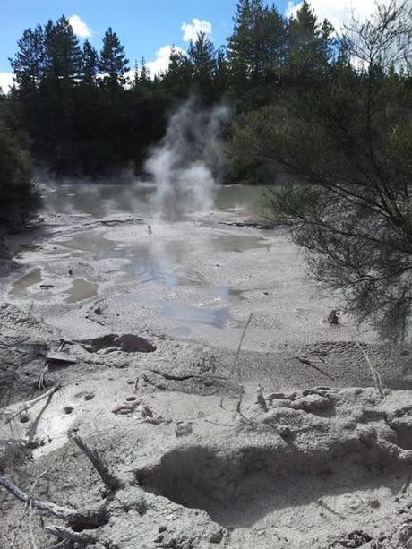 Rotorua e dintorni