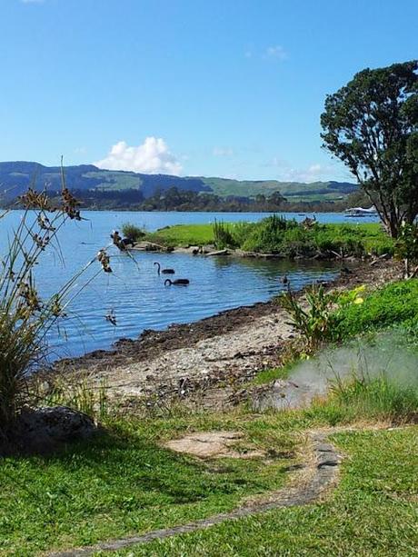 Rotorua e dintorni