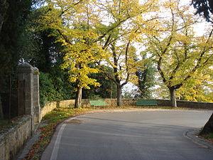 Piante a Farnetella (Siena) Piante a Farnetella (Siena)