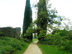 Italiano: Sentiero del giardino Italiano: Sentiero del giardino