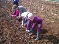 Ortogym: fare ginnastica coltivando l’orto Image