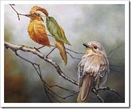 Euro effimero Euro effimero