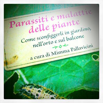 Parassiti e malattie delle piante di Mimma Pallavicini
